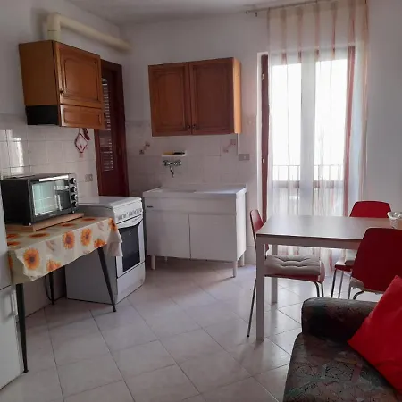 Analogic Tour - San Donato